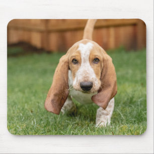 Tapis De Souris La Marche des chiots de Basset