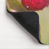 Tapis De Souris La nature des libellules rouges (Coin)