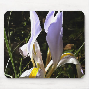 Tapis De Souris La peinture Fleur sauvage algérienne Iris Hyperréa