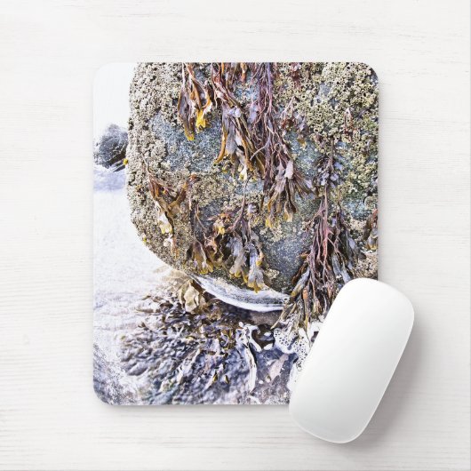 TAPIS DE SOURIS LA PLAGE (Avec souris)