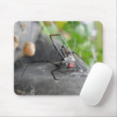 Tapis De Souris La pose de la veuve (Avec souris)