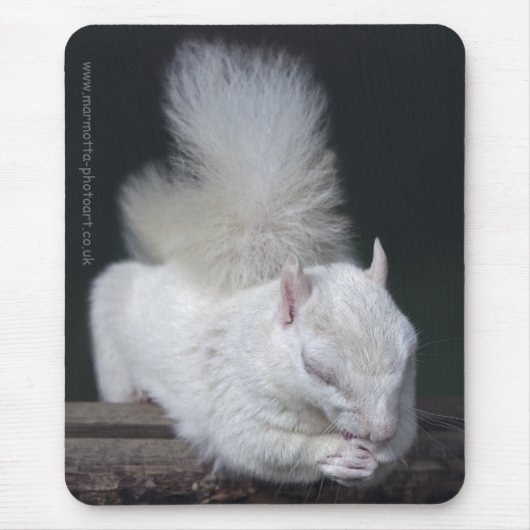Tapis de souris La Prière de Nutty (Devant)