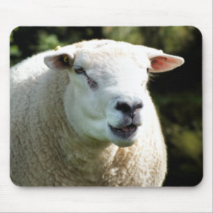TAPIS DE SOURIS LA RAM