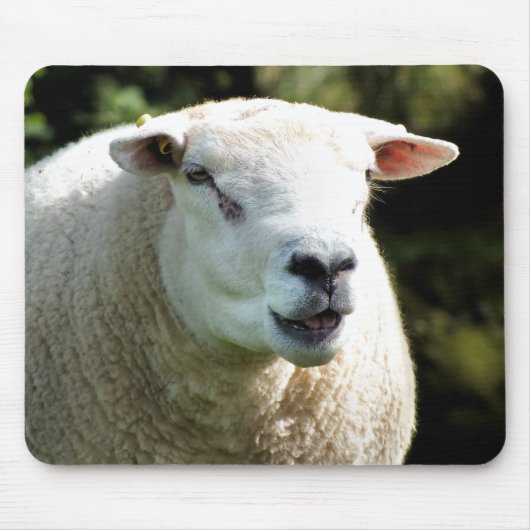 TAPIS DE SOURIS LA RAM (Devant)