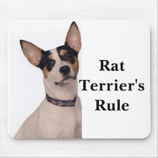 Tapis De Souris La règle du Rat terrier