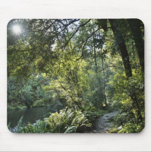 Tapis De Souris La rivière de Hellyer passe paisiblement par des 