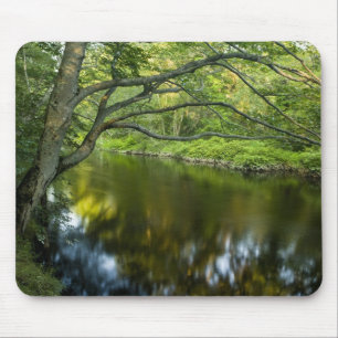 Tapis De Souris La rivière Taunton à Bridgewater, 2