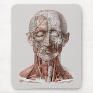 Tapis De Souris La Science humaine vintage d'anatomie, nez