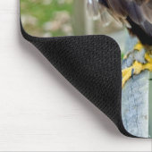 TAPIS DE SOURIS LA T.A.O. DE SOURIS DE BUZZARD (Coin)