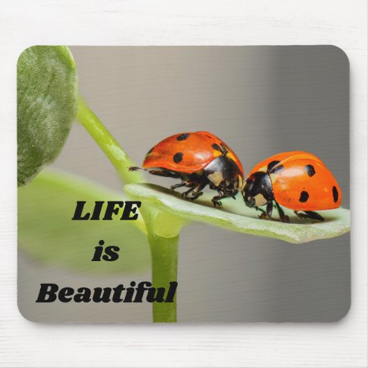 Tapis De Souris La vie est belle - Ladybug (Devant)