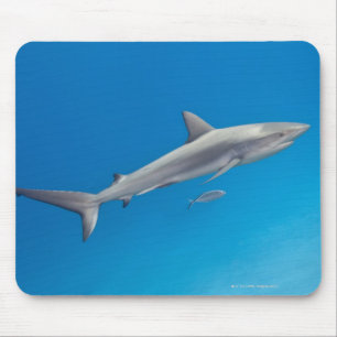 Tapis De Souris La vie sous-marine : Natation de perezi de