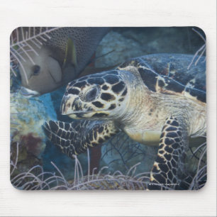 Tapis De Souris La vie sous-marine : Une tortue de mer de