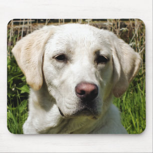 TAPIS DE SOURIS LABRADOR DOG