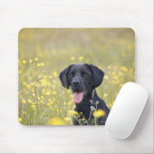 Tapis De Souris Labrador noir 16 mois (Avec souris)