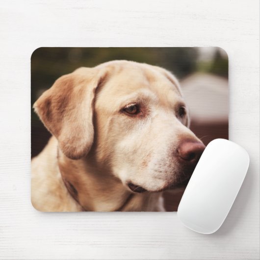 Tapis De Souris Labrador Retriever (Avec souris)