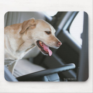 Tapis De Souris Labrador retriever