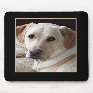Tapis De Souris Labrador retriever jaune Mousepad