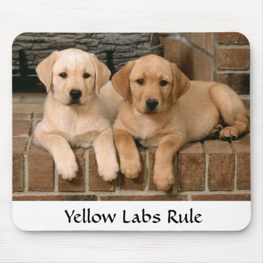 Tapis De Souris Labrador Retrivers Rule Puppies Mousepad (Devant)