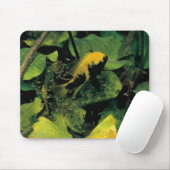 Tapis De Souris Labridens de Herichthys des médias Luna (Avec souris)