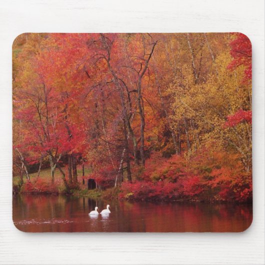 Tapis De Souris Lac autumn (Devant)