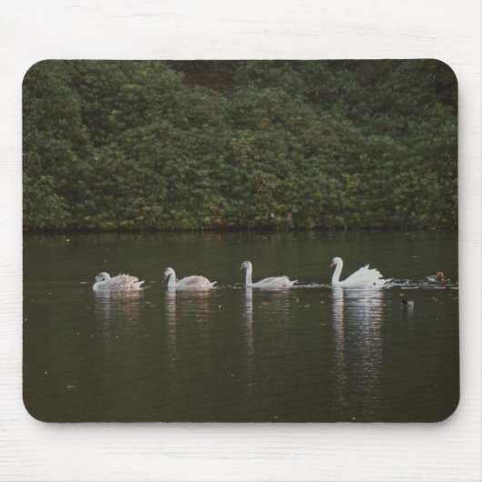 Tapis De Souris Lac des cygnes Mousepad (Devant)