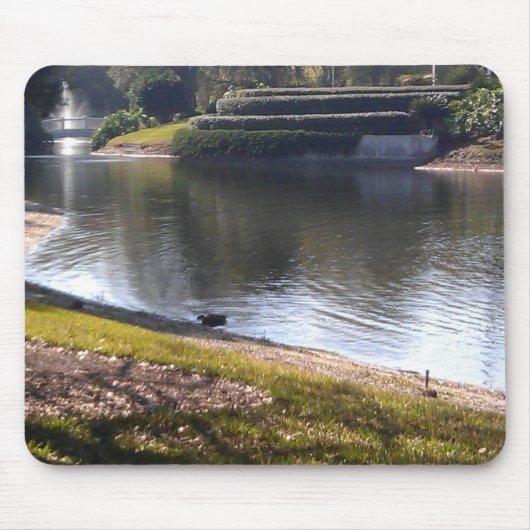Tapis De Souris Lac et Pierre (Devant)