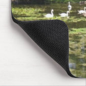 Tapis De Souris Lac swan (Coin)