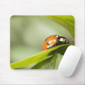 Tapis De Souris Ladybird sur la feuille, Ladybug sur la feuille (Avec souris)