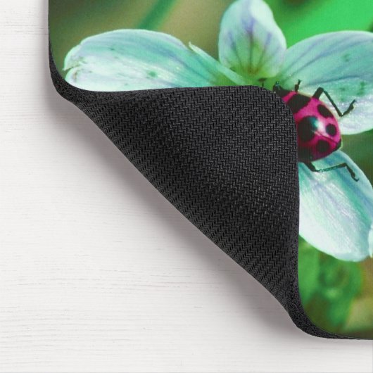 Tapis De Souris Ladybug (Coin)