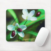 Tapis De Souris Ladybug (Avec souris)