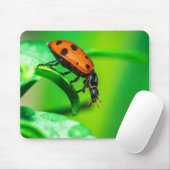 Tapis De Souris Ladybug Mouse Pad | Nature Desk Setup (Avec souris)