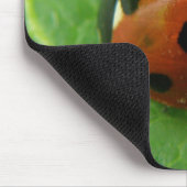 Tapis De Souris Ladybug Mousepad (Coin)
