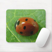 Tapis De Souris Ladybug Mousepad (Avec souris)