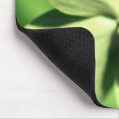 Tapis De Souris Ladybug Sur La Fleur De Dogwood (Coin)