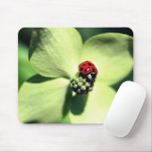 Tapis De Souris Ladybug Sur La Fleur De Dogwood (Avec souris)