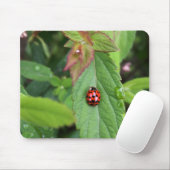 Tapis De Souris ladybule on leaf (Avec souris)