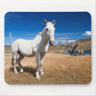 Tapis De Souris Laguna Azul, paysage avec chevaux