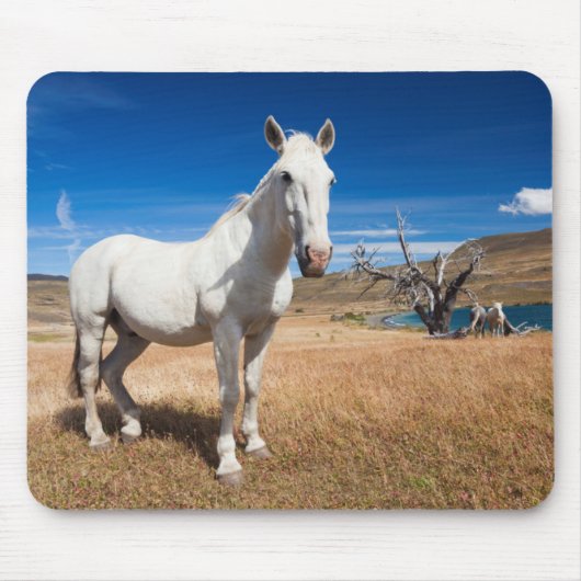 Tapis De Souris Laguna Azul, paysage avec chevaux (Devant)