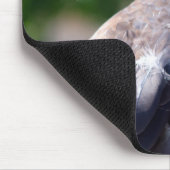 Tapis De Souris L'Aigle royal (Coin)