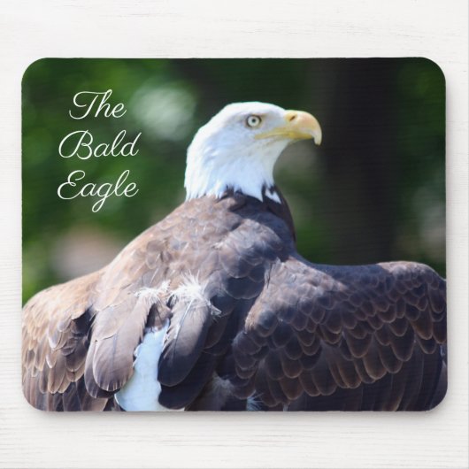 Tapis De Souris L'Aigle royal (Devant)