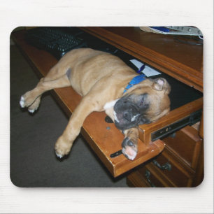 Tapis De Souris Laila dormant sur le mousepad de bureau