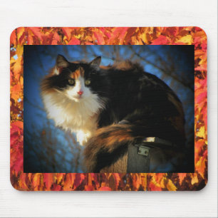 Tapis De Souris Laisse-moi seul Automne Calico