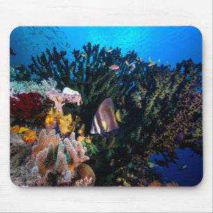 Tapis De Souris Laja Ampat 4 sous-marins