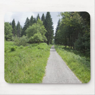 Tapis De Souris L'Allemagne, Thuringe, chemin dans la forêt