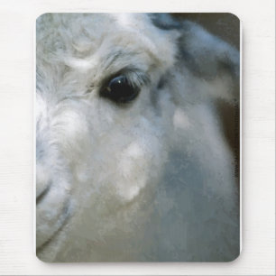 Tapis De Souris Lama