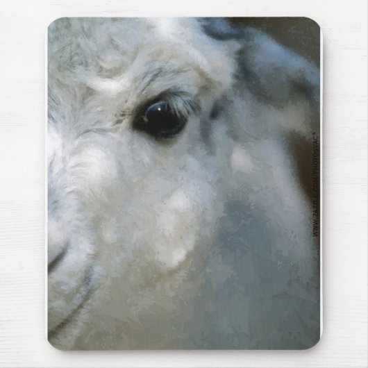 Tapis De Souris Lama (Devant)