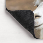 Tapis de souris Lama Blanc Mignon (Coin)