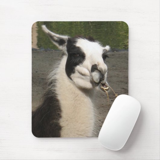 Tapis De Souris Lama déjeunant (Avec souris)