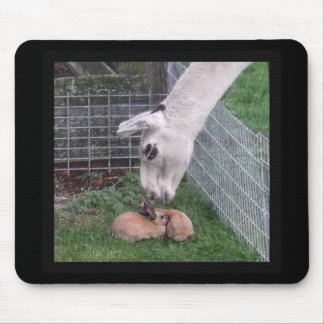 Tapis De Souris Lama Llove et lapin