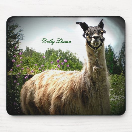 Tapis De Souris Lama Mousepad de chariot (Devant)
